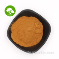 Natürliches Chaga-Pilz-Extraktpulver